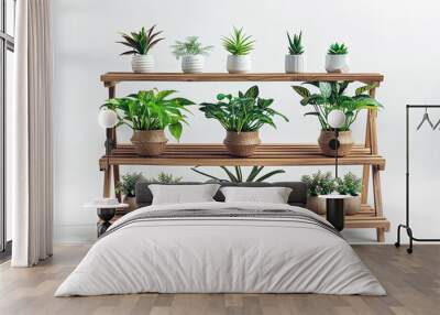 plants on clay pots on wooden plant shelves or racks isolated on white background Wall mural