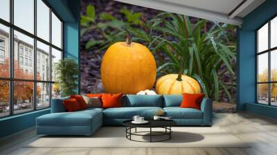 Three pumpkins sit on a rock in a garden Wall mural