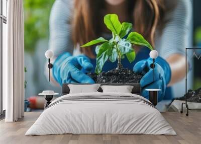 Spring hobby, Caucasian woman wearing gardening gloves and caring for a plant. She is planting a potted houseplant on a white table, with garden tools. Wall mural