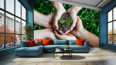 A group of volunteers holds a small tree in their hands to plant trees for the forest on world environment day for a sustainable environment. global care and save the earth. Wall mural