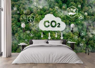 icon reduce CO2 emission concept on the top view of the forest for environmental, Sustainable development, and green business based on renewable energy limit climate change and global warming. Wall mural