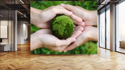 top view of teamwork hands holding the earth on a green background. protect nature. Save Earth. concept of the environment World Earth Day. ecology and environment sustainable concept. Wall mural