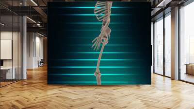 3d renderings of human skeleton

 Wall mural