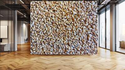 seeds background Wall mural