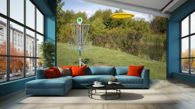 Frisbee Golf With Disc Wall mural