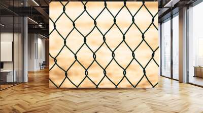 Mesh fence isolated Wall mural