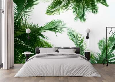 palm tree Wall mural