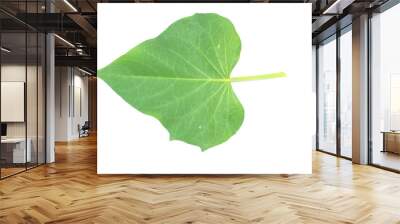 sweet potato leaf Wall mural