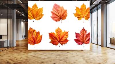 Collection of autumn leaves isolated on transparent background Wall mural