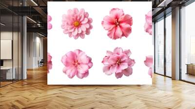 Collection of various pink flowers isolated on a transparent background Wall mural