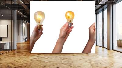 hand-holding light bulb is glowing isolated on a transparent or white background, cut-out, PNG Wall mural