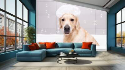 The dog is sitting in a bubble bath with a yellow duckling and soap bubbles. Golden Retriever bathes with bath accessories. Wall mural