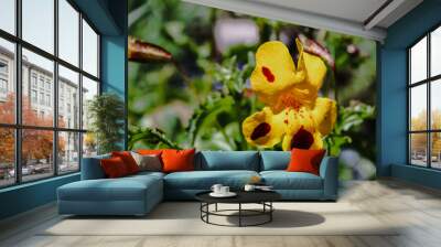 Yellow flower with red details and green background Wall mural