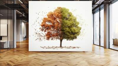 Tree half in autumn and half in spring, white background, nature and environment concept. Generative AI Wall mural