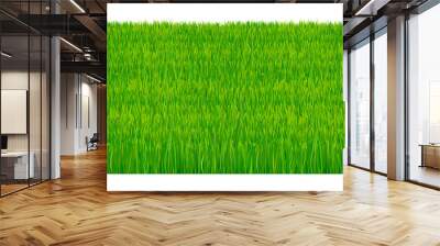 Green fresh grass isolated on white background. Vector illustration which represent part of the lawn isolated on white background. Wall mural