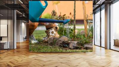 the woman is watering the flowers in the garden in the backyard. close-up photo of watering flowers from a watering can Wall mural