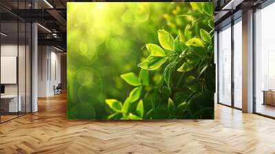 green closeup abstract wallpaper with perfect light and blurred background to enhance the depth Wall mural