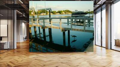 Florida Blue Heron perched underneath a wood dock by water.Looking to the right at Coffee Pot Bayou with Houses, green trees and boat dock in the background.Calm blue water with sunset sun and shadows Wall mural