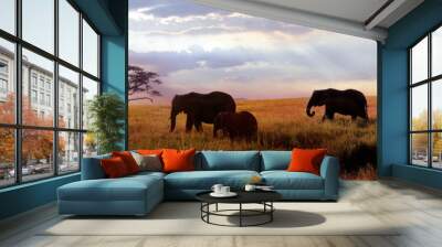 African elephants at sunset in the Serengeti national park. Africa. Tanzania. Banner format. Wall mural