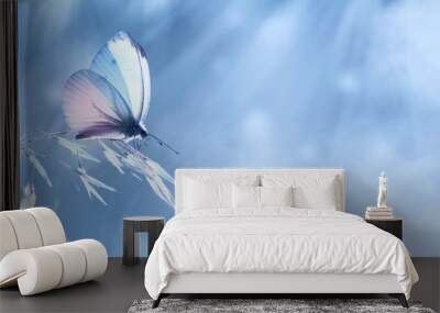 Fragile delicate butterflies on a field plant in delicate pink and blue colors. Banner format. Copy space. Wall mural