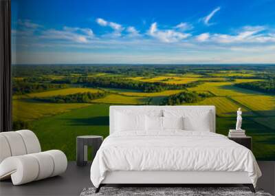 Top aerial panoramic view of green fields and meadows in summer. Abstract landscape with lines of fields, grass, trees, sunny sky and lush foliage. Landscape with drone. Wall mural