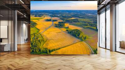 Top aerial panoramic view of green fields and meadows in summer. Abstract landscape with lines of fields, grass, trees, sunny sky and lush foliage. Landscape with drone Wall mural