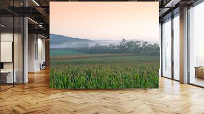 foggy sunrise on pennsylvania cornfield Wall mural