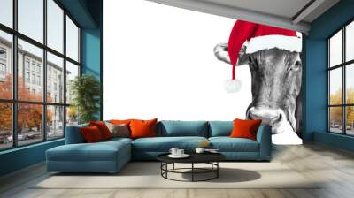 Black and white fun cow isolated on panoramic white background with a Santa hat, 2024 funny Christmas greeting card with copy-space Wall mural