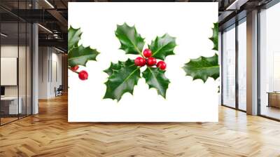 Collection set of Holly branches with leaves and berries, traditional natural green and red Christmas and Holidays ornaments isolated on transparent background, png file Wall mural