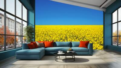 Field of colza rapeseed yellow flowers and blue sky, Ukrainian flag colors, Ukraine agriculture illustration Wall mural