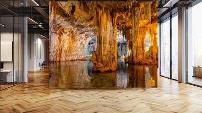 Interior of Neptune's Grotto, a stalactite cave near Alghero on the island of Sardinia, Italy Wall mural