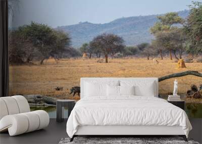 Photo of warthogs at a waterhole, wildlife game drive, savanna scenic landscape in Namibia, Africa Wall mural