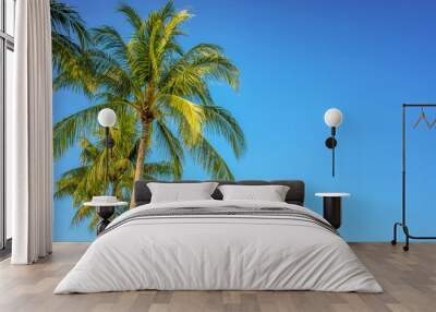 Photo palm trees on blue sky, tropical travel background with copy space Wall mural