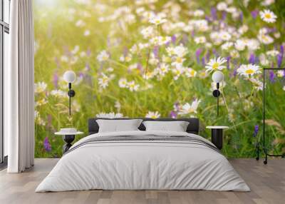 Sunshine on a field of daisy and wiild flowers, spring and summer nature background Wall mural