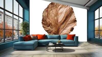 PNG dry natural brown leaf, autumn season plant, botanical isolated illustration Wall mural