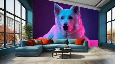 portrait of a dog Wall mural