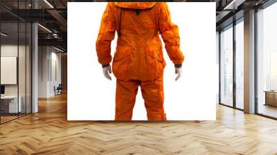 Astronaut isolated on a white background. Cosmonaut wearing spac Wall mural