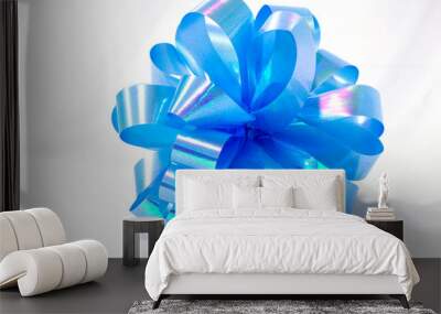 big round bow in blue color isolated on white background close up Wall mural