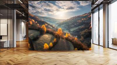 Aerial view of beautiful orange trees on the hill in mountains at sunrise in autumn in Ukraine. Colorful landscape with trees in fog, sun, grass, fields and meadows, blue sky, forest in fall. Nature Wall mural