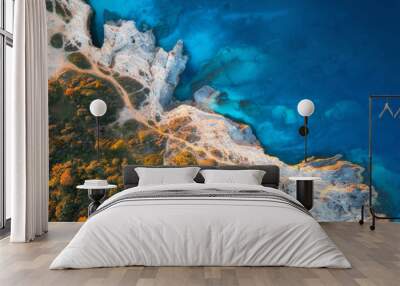 Aerial view of blue sea, rocks in clear water, beach, green trees at sunset in summer. Adriatic sea, Kamenjak, Croatia. Colorful landscape with rocky sea coast, stones in azure water, forest. Top view Wall mural