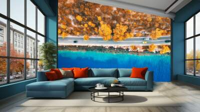 Aerial view of road in beautiful orange forest and blue sea at sunset in autumn. Colorful landscape with roadway, blurred cars, clear water, trees in fall. Top view of road along the sea coast. Travel Wall mural