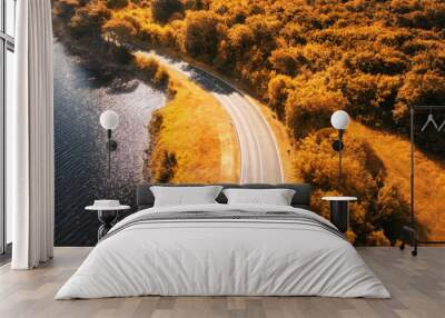 Aerial view of road near blue sea, forest at sunset in autumn. Travel in Croatia. Top view of beautiful road, orange trees, hills in fall. Colorful landscape with highway and sea shore. Road trip Wall mural