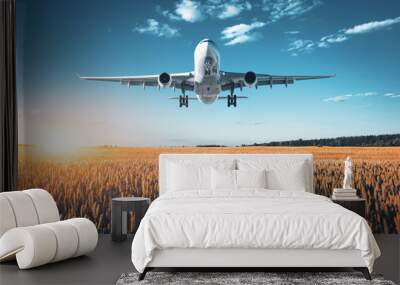 Amazing airplane. Landscape with big white passenger airplane is flying in the blue sky over wheat field at colorful sunset in summer. Passenger airplane is landing. Business trip. Commercial aircraft Wall mural