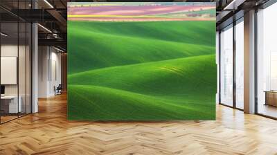 Amazing fairy minimalistic landscape with green fields in the morning in South Moravia, Czech Republic. Waves hills, rolling hills. Abstract nature background Wall mural