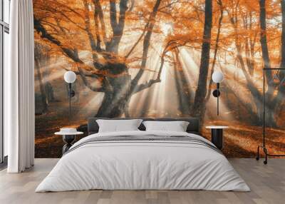 Magical autumn forest with sun rays in the evening. Trees in fog. Colorful landscape with foggy forest, gold sunlight, orange foliage at sunset. Fairy forest in autumn. Fall woods.Enchanted tree Wall mural