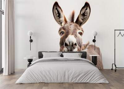 Close-up portrait of a funny, laughing donkey with an open mouth, isolated on a white background  Wall mural