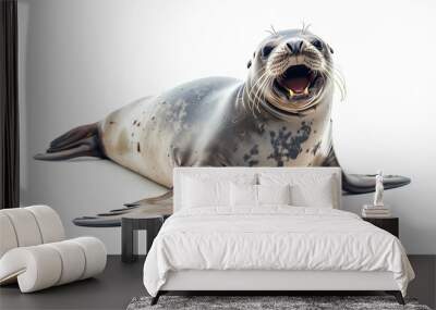 Full-body portrait of a happy seal with an open mouth, isolated on a white background  Wall mural