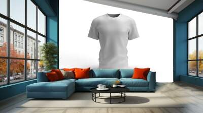 Men Tshirt 3D Illustration Mockup Scene Wall mural