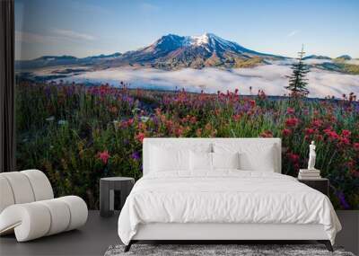 Mount St Helens in Summer Wall mural