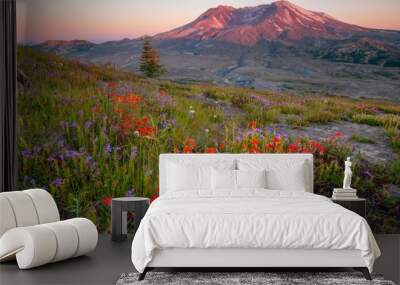 Mount St Helens with wildflowers at sunset - Washington state Wall mural